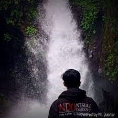 Florence - IELTS 8.5